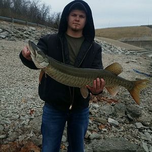 Meet your Posher, Ian